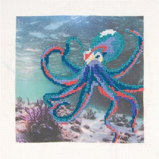 DMC Kruissteekpakket Octopus 26x26cm