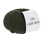CARPE DIEM 0198 Groen bad 8000