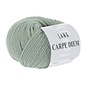 CARPE DIEM 0092 Groen bad 8725