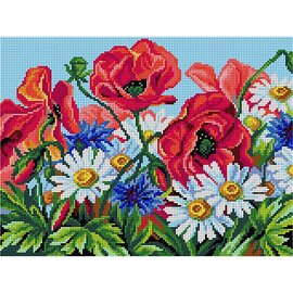 Orchidea Voorbedrukt stramien - Veldbloemen