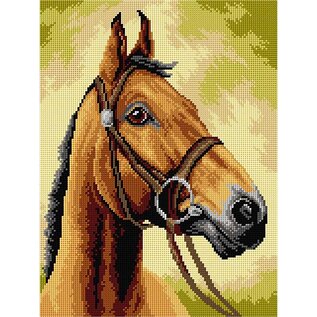 Orchidea Voorbedrukt stramien - Paard