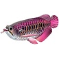 EUGY 3D Puzzel - Drakenvis