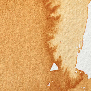 Winsor&Newton Professional Water Colour - aquarelverf - Gold Ochre