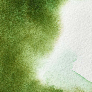 Winsor&Newton Professional Water Colour - aquarelverf - Permanent Sap Green