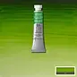 Winsor&Newton Professional Watercolour - aquarelverf - Permanent Sap Green Serie1