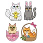 Katten Kruisteek set van 4 ontwerpen