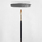 Rembrandt Oil & acrylic brush series 240 - Pure Red Sable - nr. 6