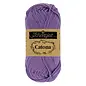 Catona  113 Delphinium bad 29