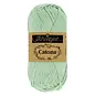 Scheepjes Catona  402 Silver Green bad 57