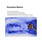 Winsor&Newton, Granuleermedium, 75ml