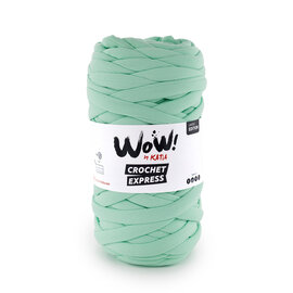 WOW CROCHET EXPRESS 113 - Turquoise groen bad 89719