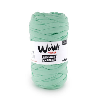 WOW CROCHET EXPRESS 113 - Turquoise groen bad 89719