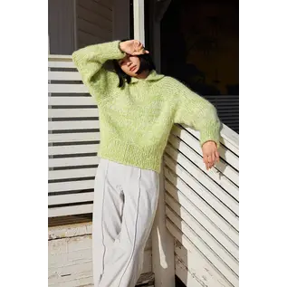 Lang Yarns Wooladdicts #17 DE/FR/NL