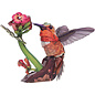 MakeBug, 3D Modelbouwpakket, Sky Echo, Kolibrie/Hummingbird 19x12x15cm
