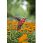 MakeBug, 3D Modelbouwpakket, Sky Echo, Kolibrie/Hummingbird 19x12x15cm