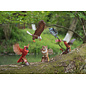 MakeBug, 3D Modelbouwpakket, Sky Echo, Kolibrie/Hummingbird 19x12x15cm