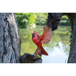MakeBug, 3D Modelbouwpakket, Sky Echo, American Cardinal 9x20x28cm