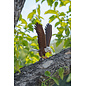 MakeBug, 3D Modelbouwpakket, Sky Echo, Visarend/Bald Eagle 14x12x24cm
