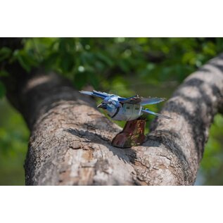 MakeBug, 3D Modelbouwpakket, Sky Echo, Blue Jay 17x10x22cm