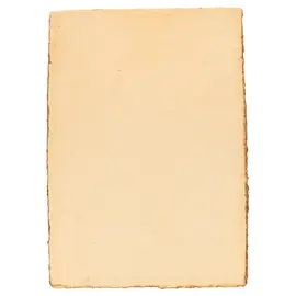 Pan Art Deckle-edge papier 30x42cm perkament - 10 vellen