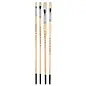 Pan Art Penselenset nat. haar nr. 2-8 - olie -