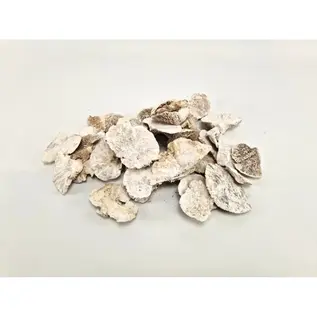 ELFENBANK (SPONGE MUSHROOM) WHITE WASH 300GR