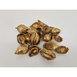 Fibre Cup Beetle Half Goud +/-500gr – Natuurlijk decoratiemateriaal voor creatief gebruik