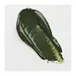 Cobra Artist Water Vermengbare Olieverf Tube 40 ml Olijfgroen 620