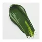 Cobra Artist Water Vermengbare Olieverf Tube 40 ml Sapgroen 623