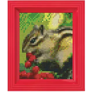 Pixel pakket - Eekhoorn - met 44 pixelmatjes