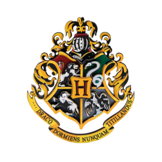 Harry Potter - Blind Box, Magic Mag doosje met 6 stuks, 1650, 3,3 x 3,9 x 0,5 cm