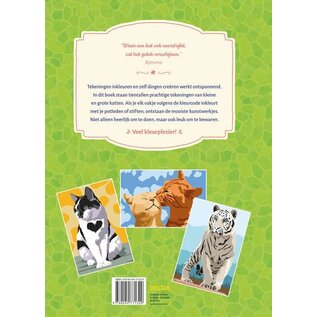 Kleuren op nummer voor volwassenen - Katten
