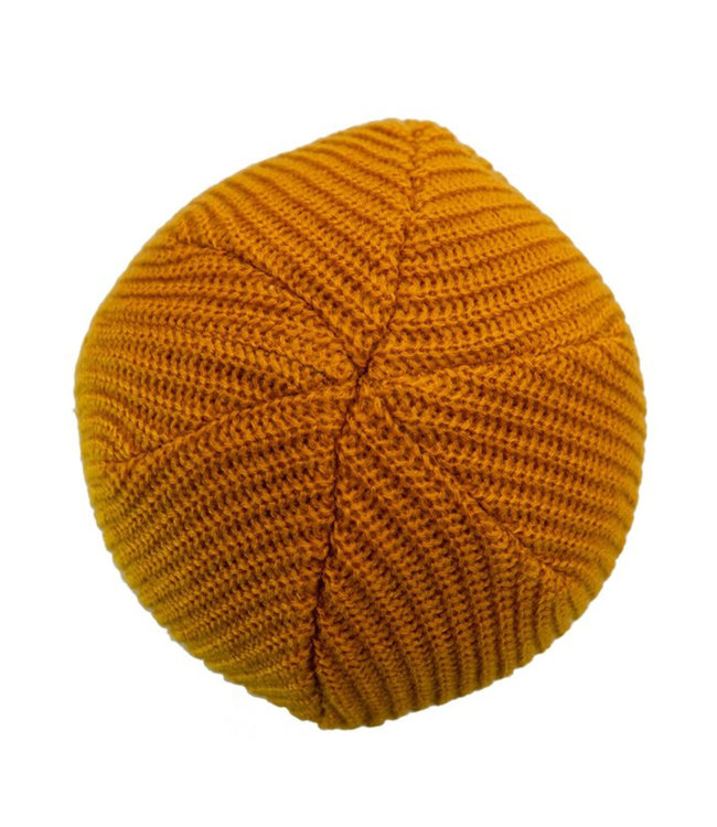 Poederbaas Park Series Flip - Gorra amarilla SB2.3