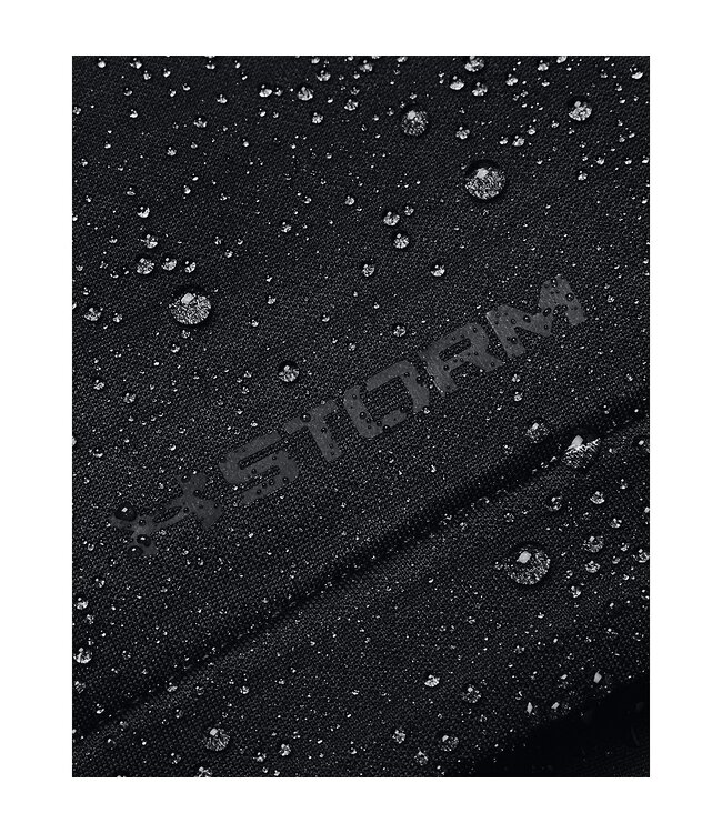 Under Armour UA Storm Daytona FZ - Zwart / Zwart / Metallic Zilver