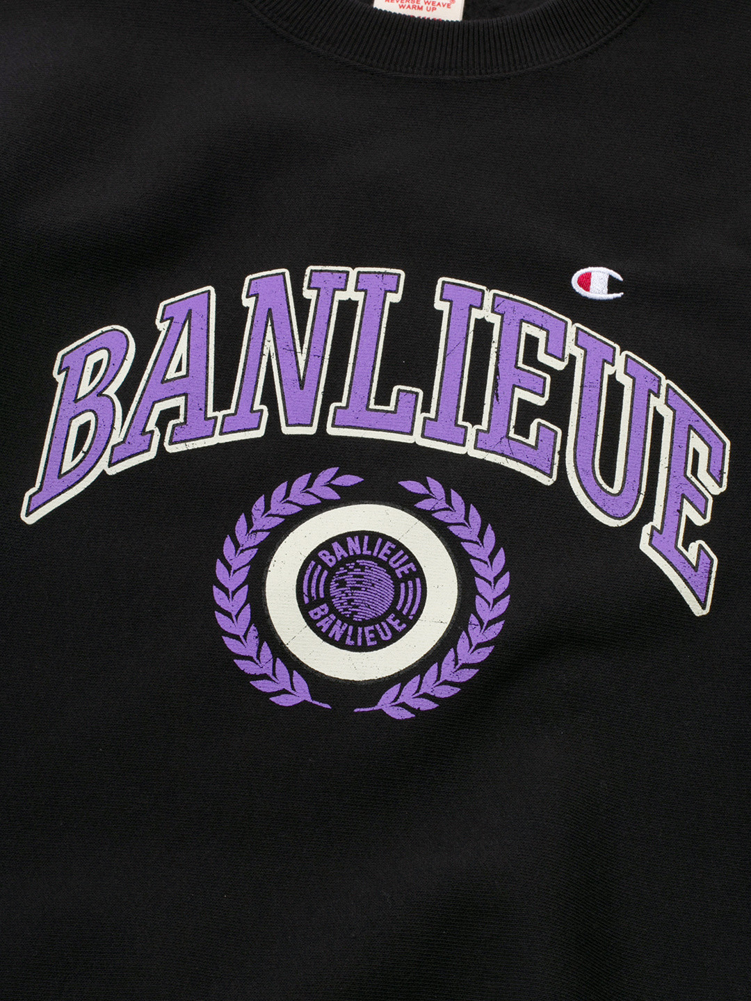 champion sweater modells visa