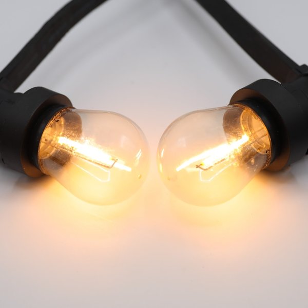 Warm LED filament lampen met transparante - 1 watt