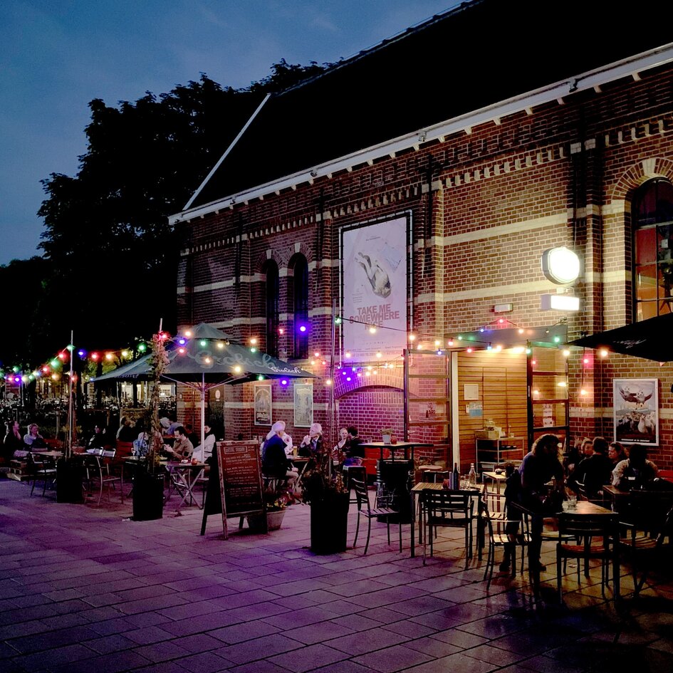 Feestverlichting voor buiten van 25 meter met 50 gekleurde LED lampen