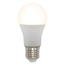Slimme E27 RGB lamp van 10W met Tuya app Ø60mm