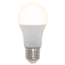 Slimme E27 RGB lamp van 10W met Tuya app Ø60mm