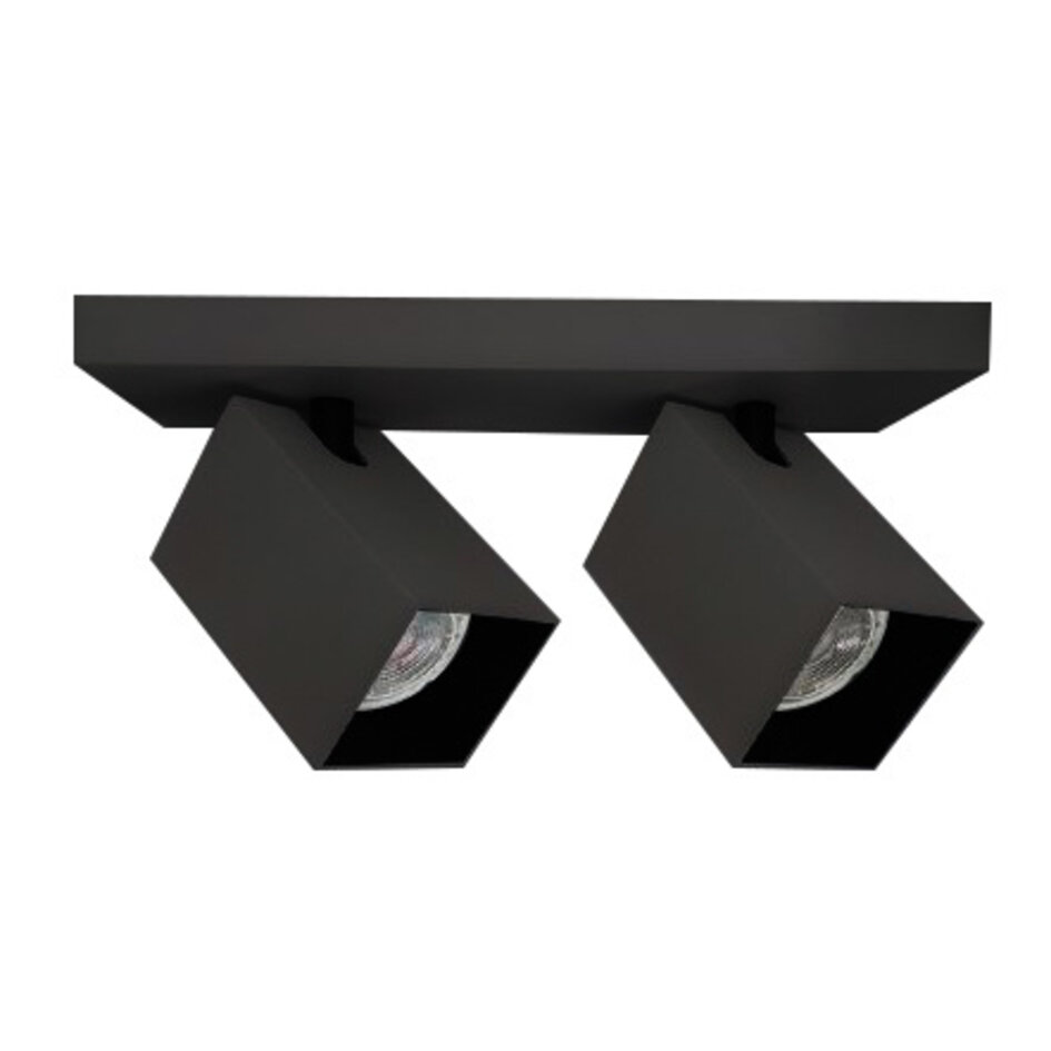 Industriële mat zwarte plafondlamp met twee spots - Boy