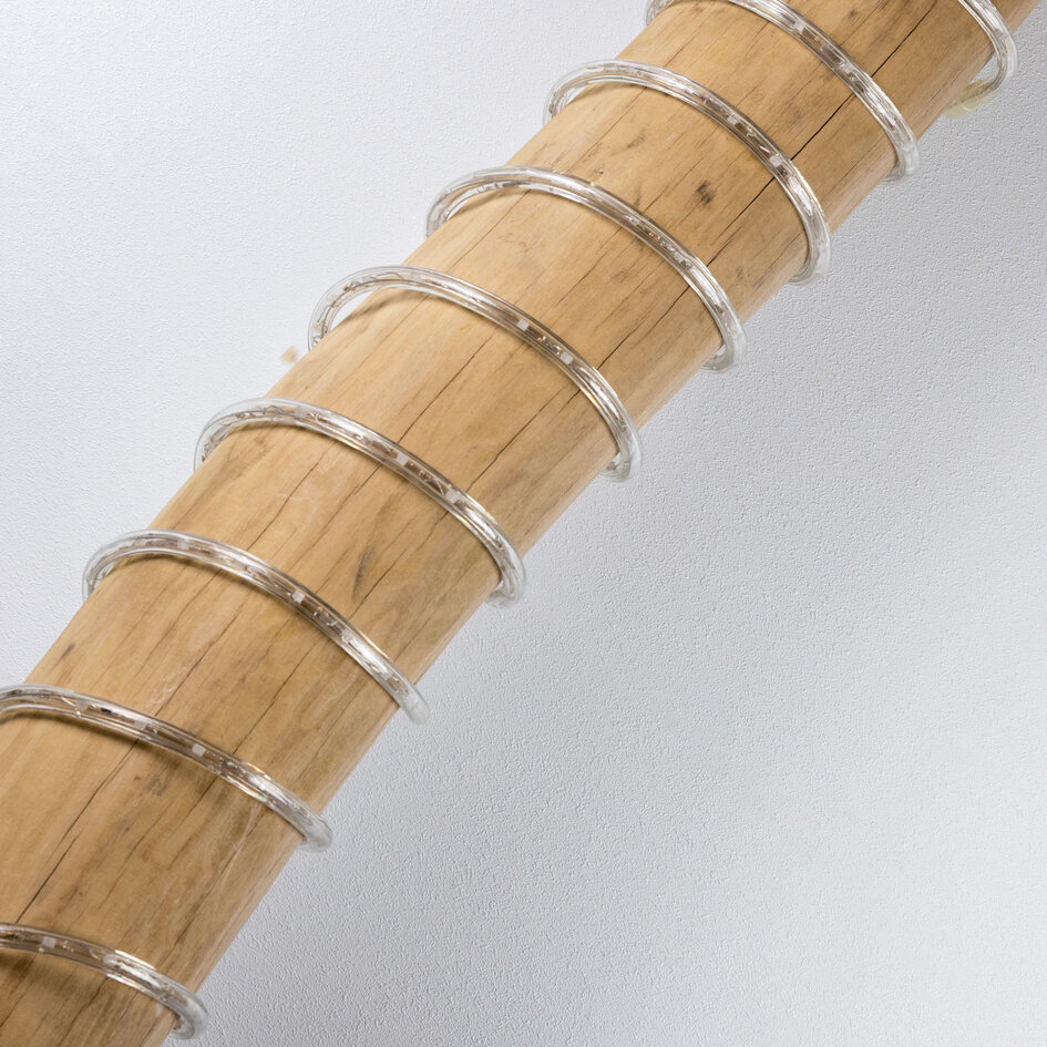 RGB lichtslang | vanaf 10 meter met 300 LEDs | Met afstandsbediening