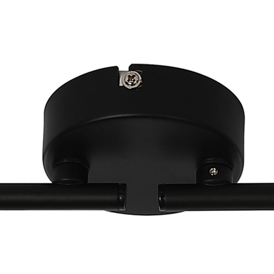 Plafondlamp met smoke glas, 2-lichts - Phoenix