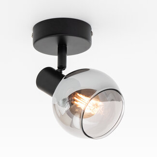 Plafondlamp met smoke glas, 1-lichts - Dallas