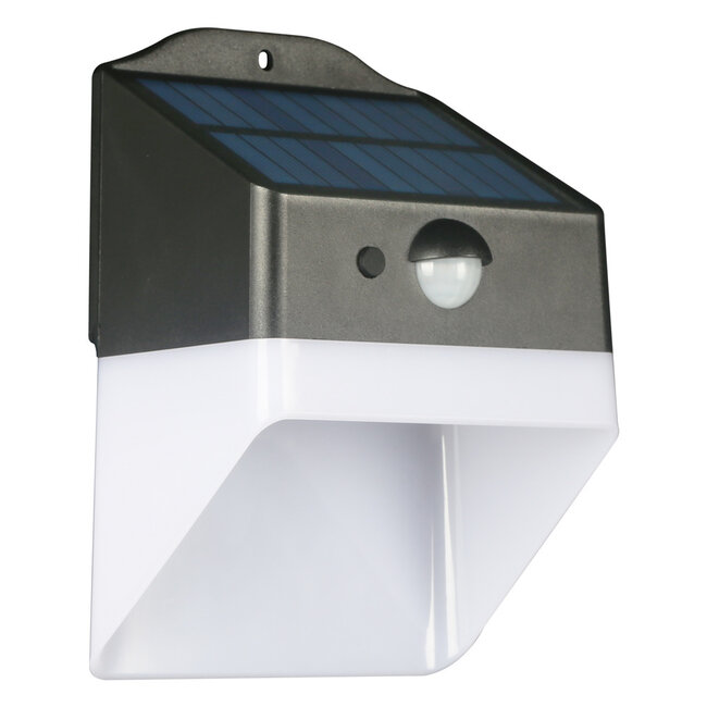 Solar buitenlamp met sensor - Fletch