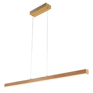 Dimbare hanglamp Shane van hout