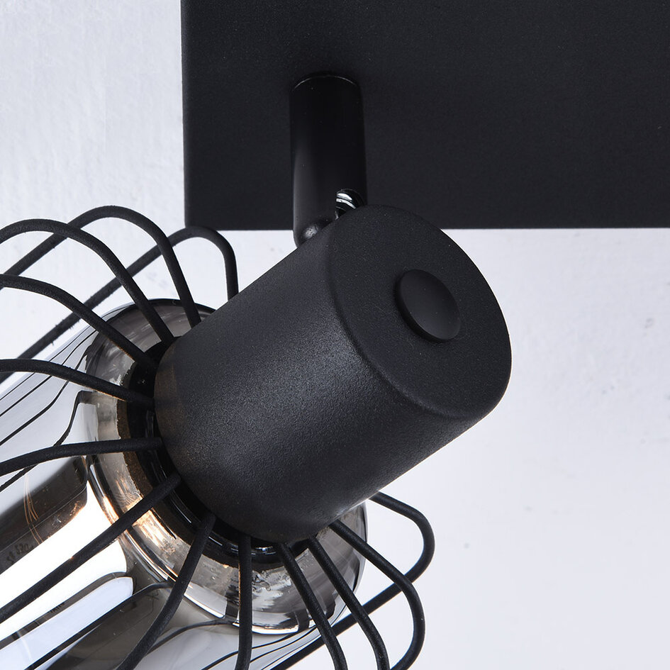 Plafondlamp met rookglas en draaibare spots, 2-lichts - Dua