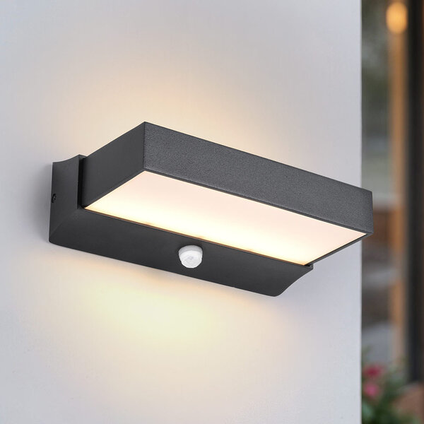 Wandlamp buiten Onyx met sensor - zwart