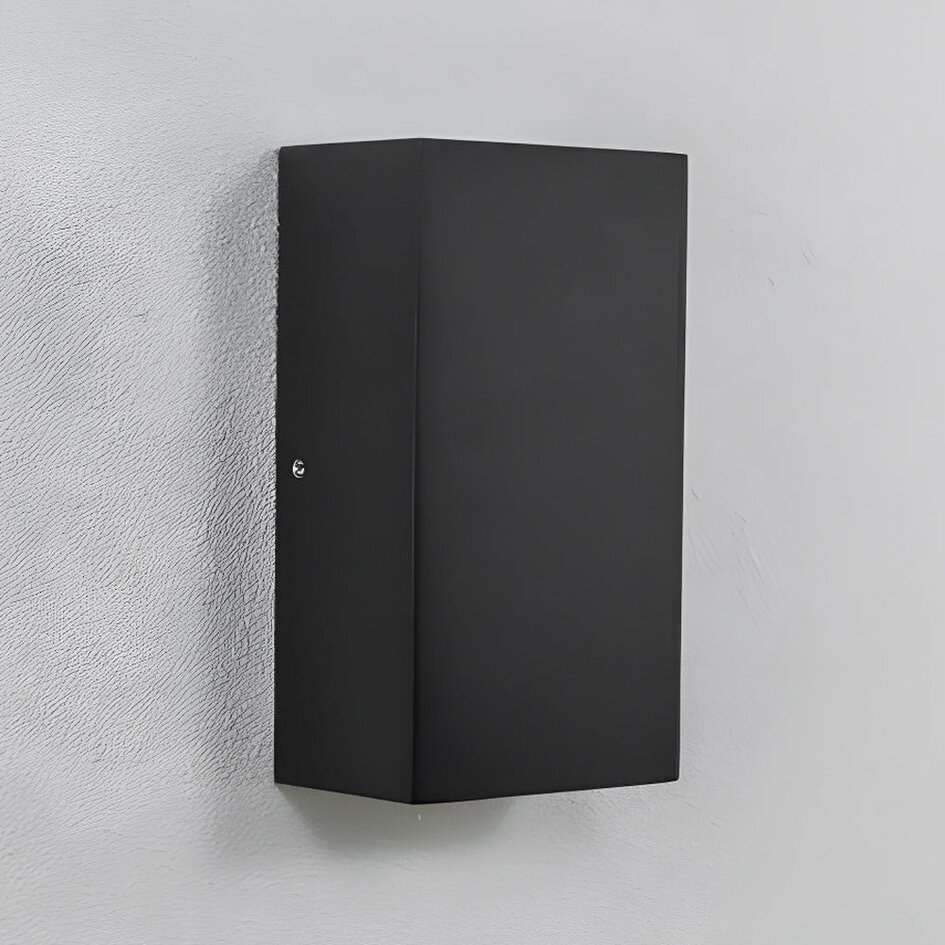 2-lichts buitenwandlamp Cole - zwart