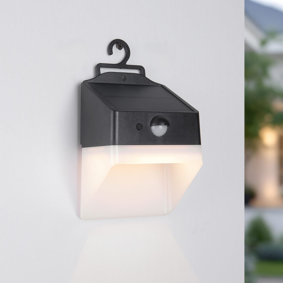 Solar buitenlamp met sensor - Fletch