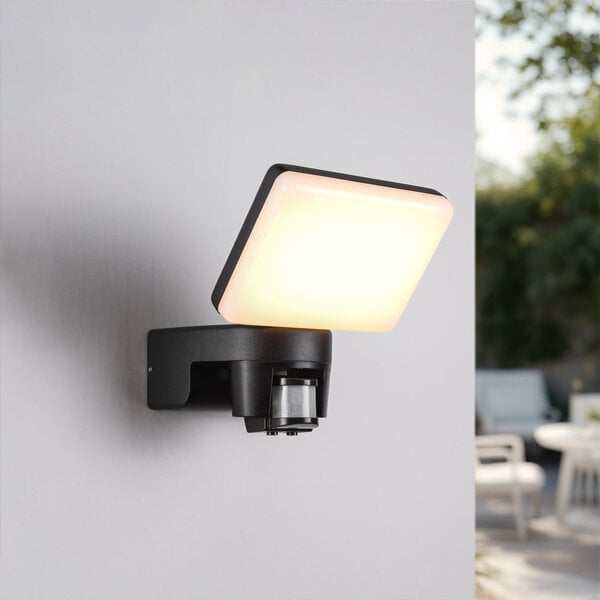 Wandlamp voor buiten met verstelbare lichthoek - Dexter
